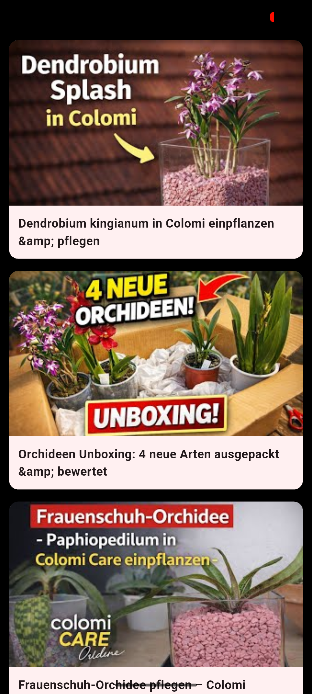 YouTube-Videos in der Orchideenhobby.de-App mit Orchideenpflege-Videos