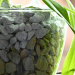 GARDENLINE Orchideen-Granulat: Colomi bei ALDI im Test 11 BVO