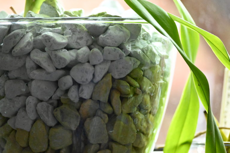 GARDENLINE® Orchideen-Granulat