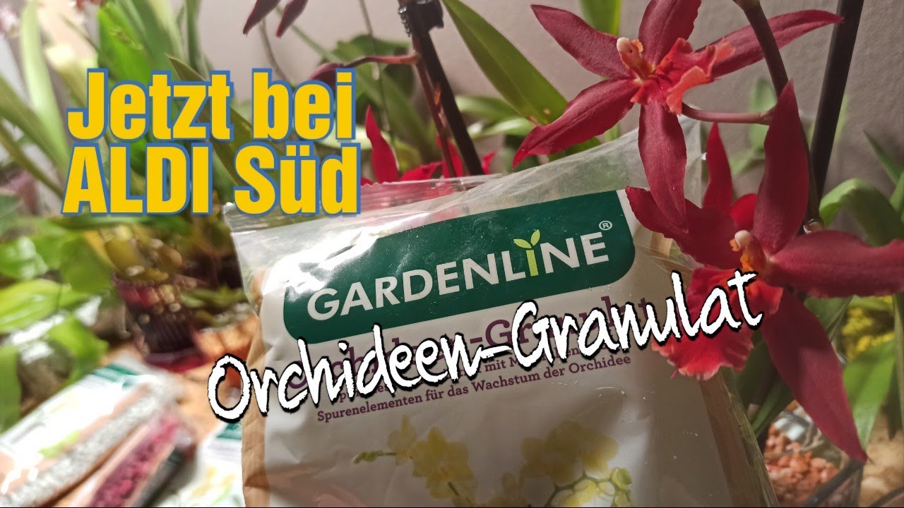 Wie Man Orchideen-Granulat Von Aldi Süd Richtig Verwendet