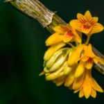 12710922 10205858169269564 7672781979463146945 o