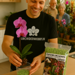 Colomi Orchideen gießen: Anleitung für Glasgefäß & OrchiTop 1 Chatgpt image 31. mai 2025, 16 28 52