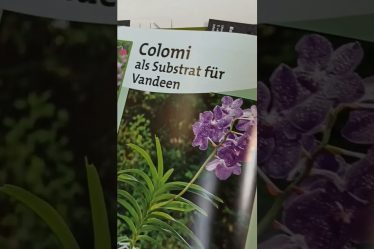 Jetzt Erhältlich Die Neue Ausgabe Von Orchideenzauber! Exklusiv Mit Meinem Beitrag Zu Colomi!