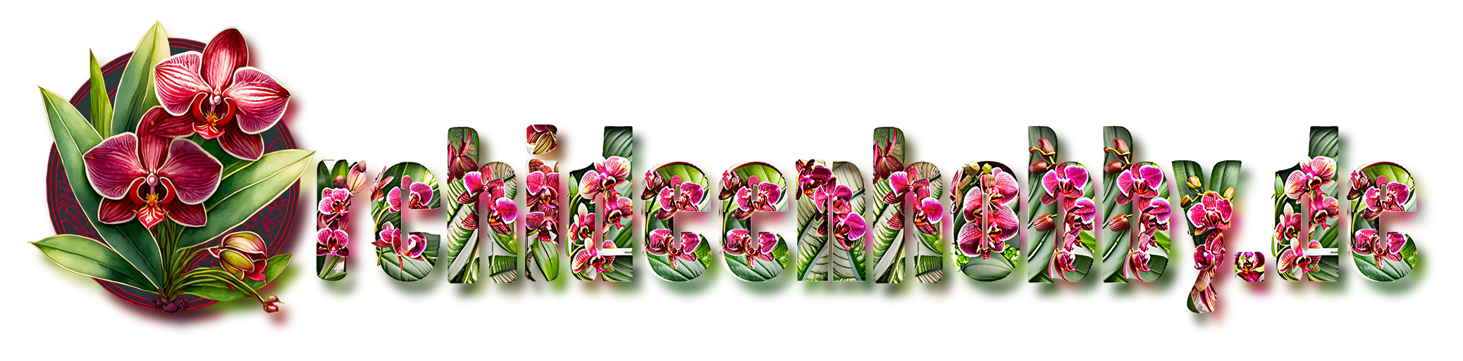 Firefly Hintergrund Für Eine Webseite über Orchideen Mit Bunten Blüten Und Realistischen Blättern 32