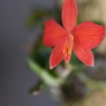 Dsc 0182