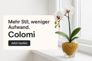 ChatGPT Image 6. Dez. 2025, 06 16