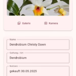 WhatsApp Image 2025 12 04 at 10.41.31