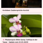 WhatsApp Image 2025 12 04 at 10.41.32