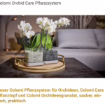 Colomi Orchid Care Test - Revolution der Orchideenpflege 24 Bildschirmfoto 2026 01 27 um 19.56.40
