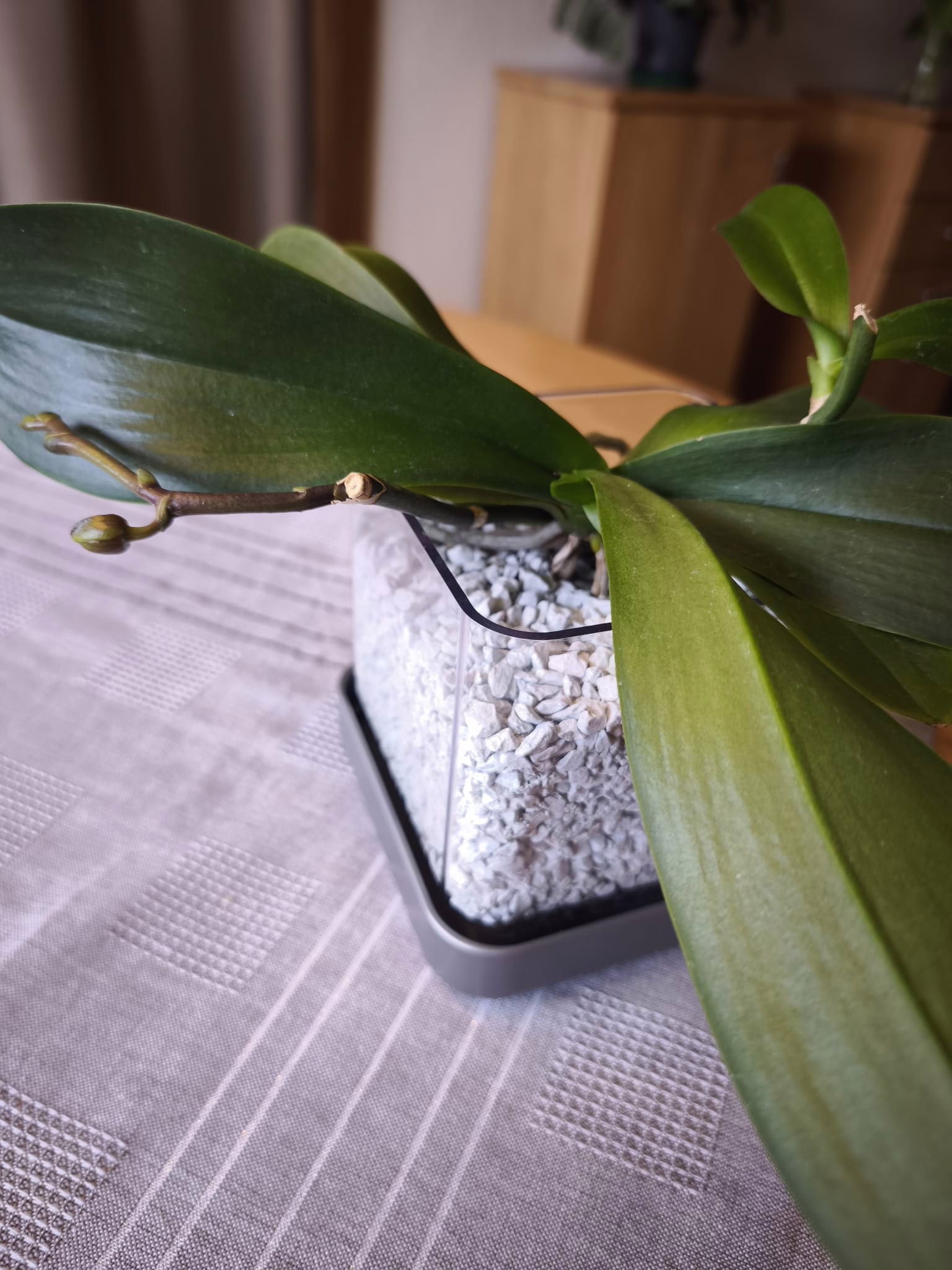 WhatsApp Image 2026 02 27 at 11.31.00