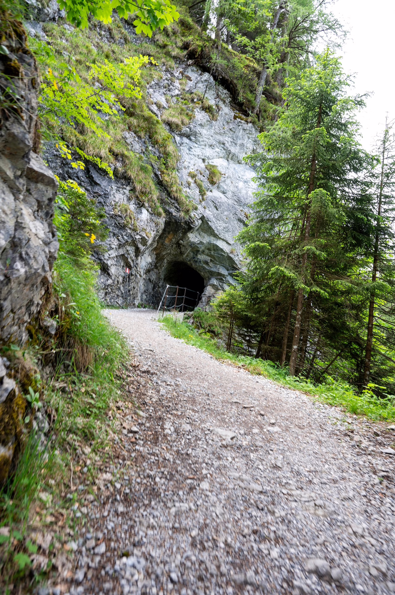 Tunnelweg am Zwölferkopf über dem Achensee in Tirol