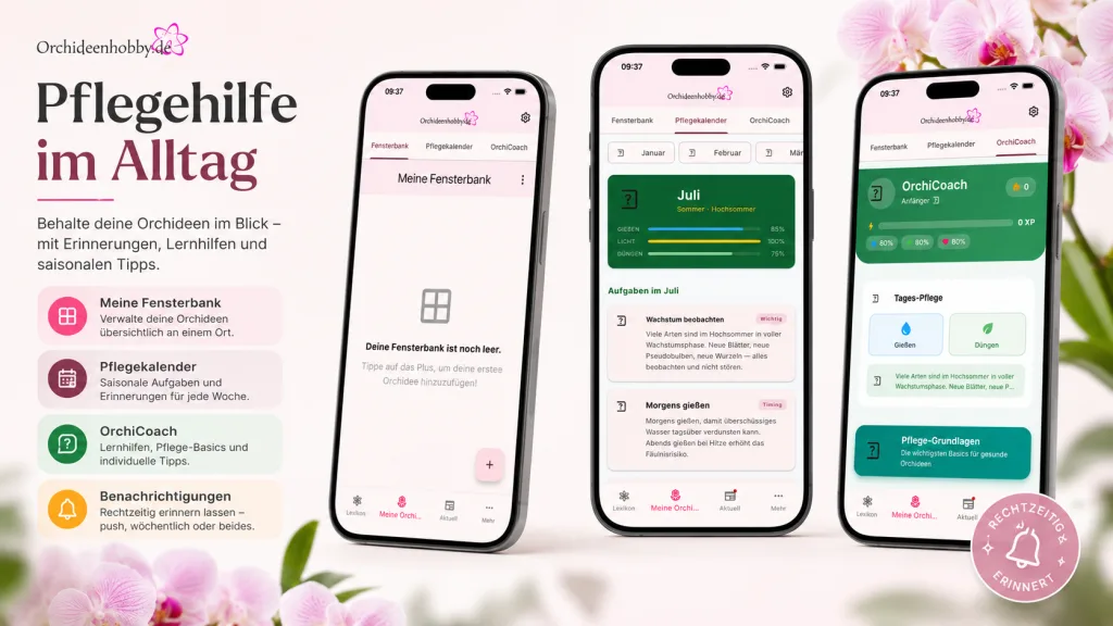 Orchideenapp pflege