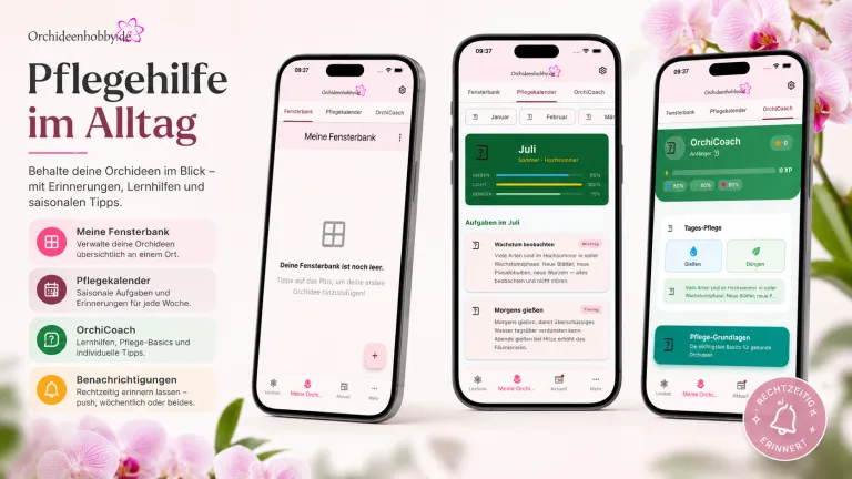 Orchideenapp pflege