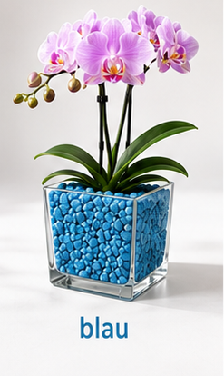 Colomi Blau Orchideensubstrat