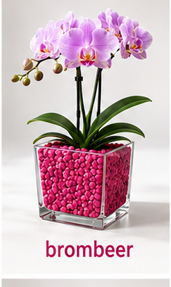 Colomi Brombeer Orchideensubstrat