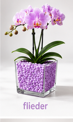 Colomi Flieder Orchideensubstrat