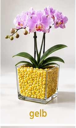 Colomi Gelb Orchideensubstrat