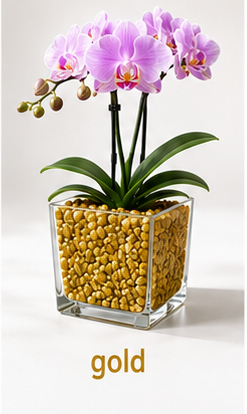 Colomi Gold Orchideensubstrat