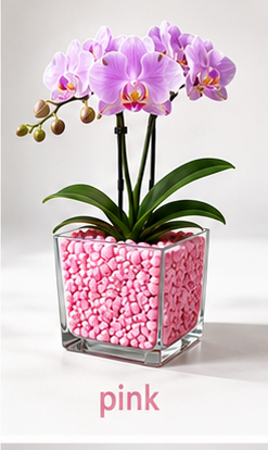 Colomi Pink Orchideensubstrat