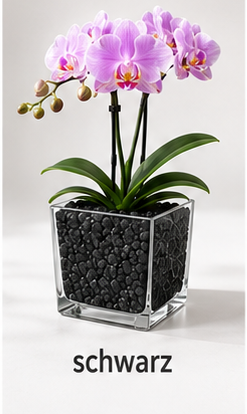 Colomi Schwarz Orchideensubstrat
