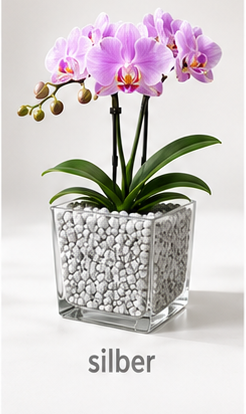 Colomi Silber Orchideensubstrat