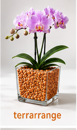 Colomi Terraorange Orchideensubstrat