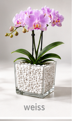 Colomi Weiß Orchideensubstrat