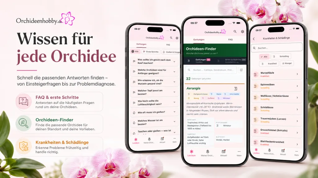 Orchideen app wissen