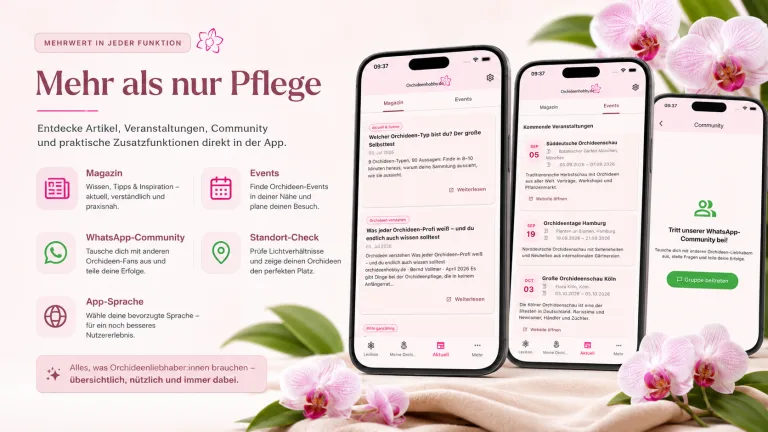 Orchideenapp dein mehr für Orchideen