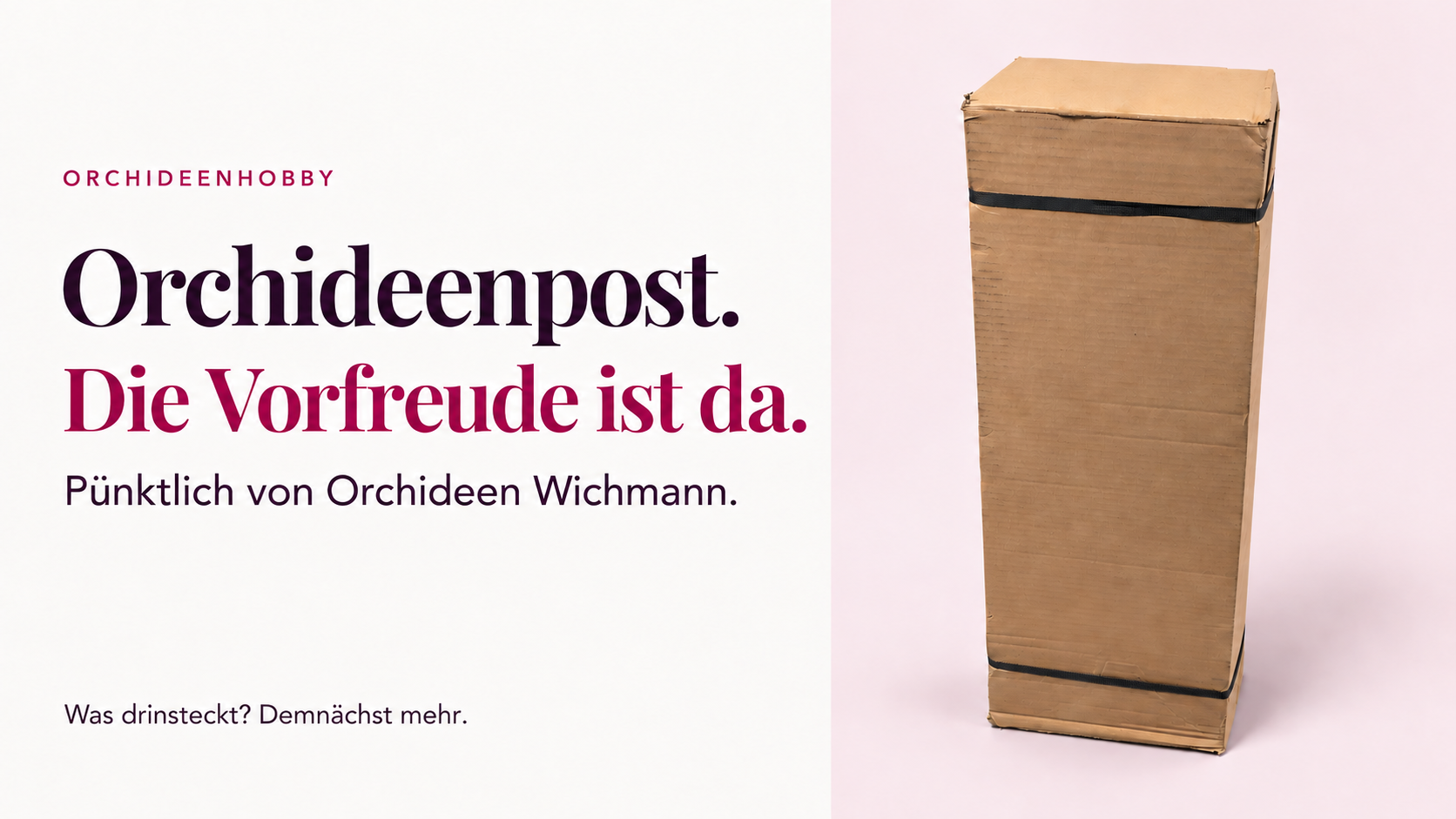 Orchideenpost von Wichmann. Die Vorfreude ist da. Demnächst mehr.